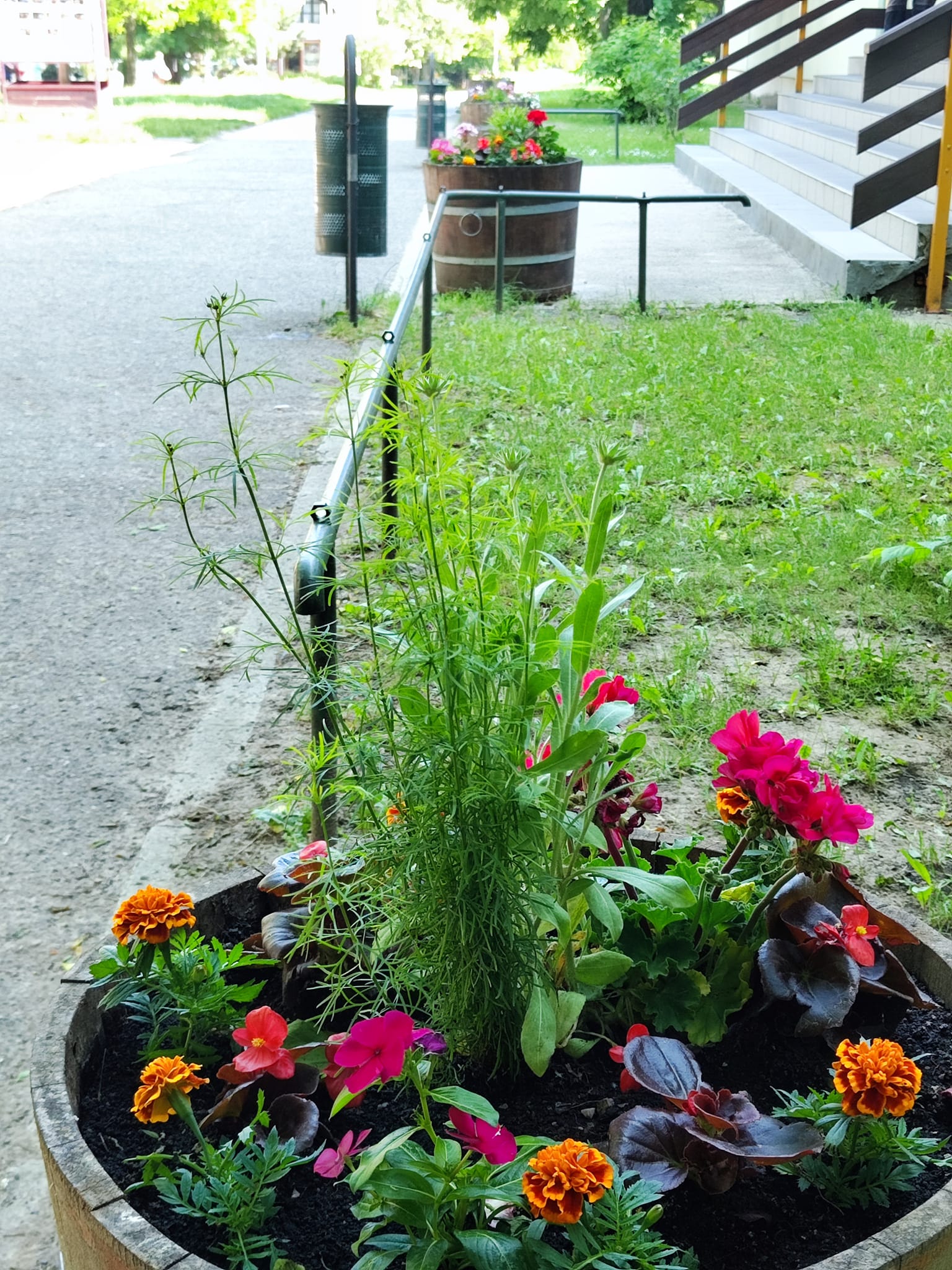 Virág ültetés