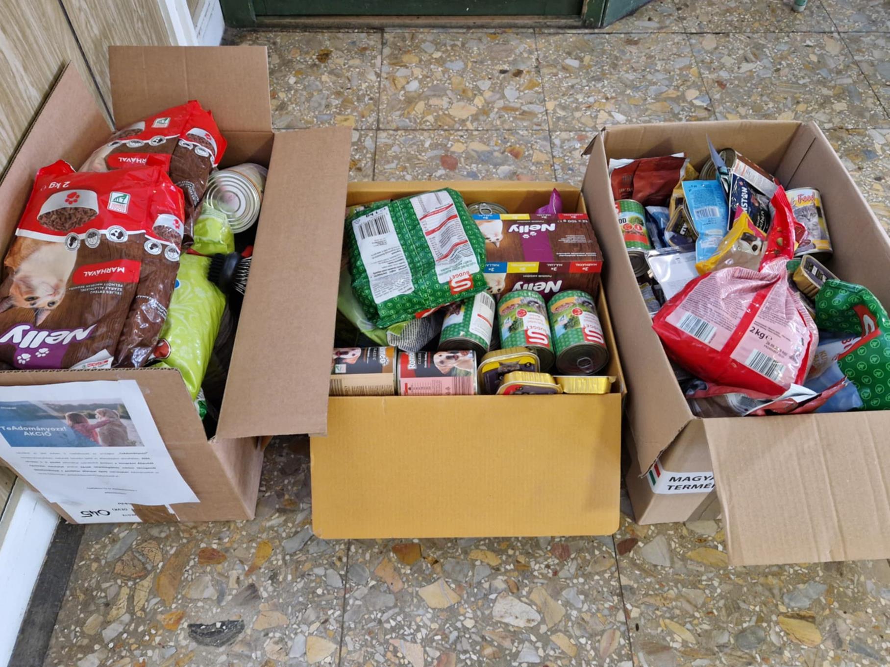 Veszprémi Állatvédő Egyesület javára gyűjtöttünk